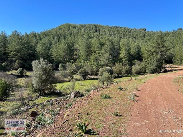 Ortaca, Muğla içerisinde satılık Arsa