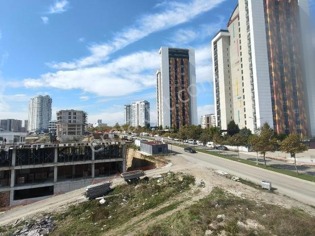 Büyükkolpınar Mahallesi, Atakum içerisinde kiralık mülk