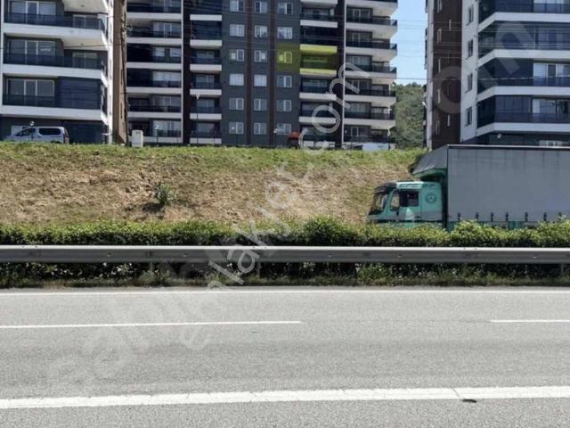 Yolağzı, Keşap içerisinde satılık mülk