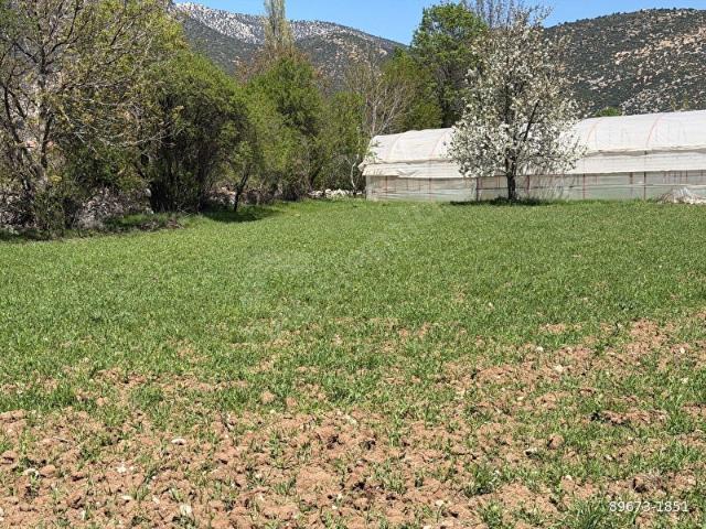 Elmali, Antalya içerisinde satılık Arsa