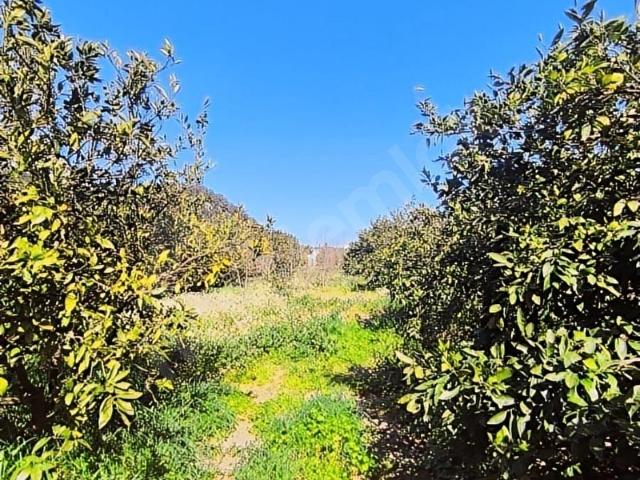 Konyaalti, Antalya içerisinde satılık mülk