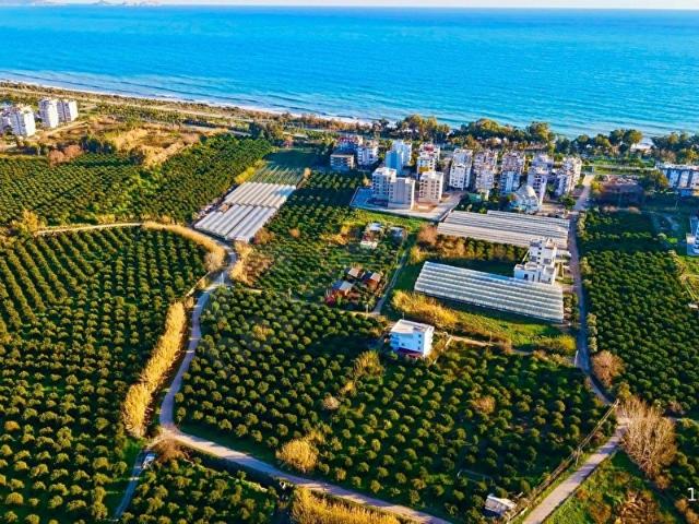 Finike, Antalya içerisinde satılık Arsa