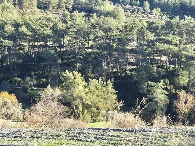 Milas, Muğla içerisinde satılık Arsa