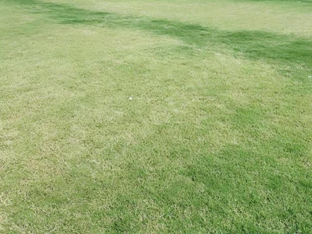 Ula, Muğla içerisinde satılık Arsa