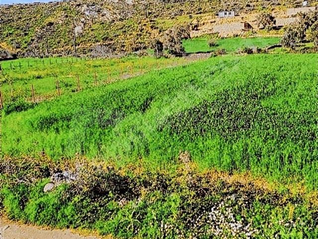 Bodrum, Muğla içerisinde satılık Arsa