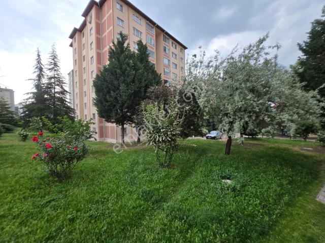 Etimesgut, Ankara içerisinde kiralık mülk