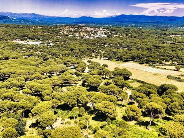 Bergama, İzmir içerisinde satılık Arsa
