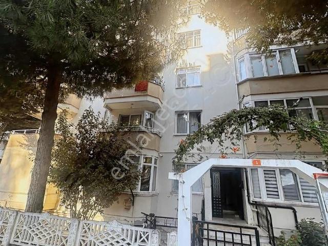 Yalova Merkez, Yalova içerisinde kiralık mülk