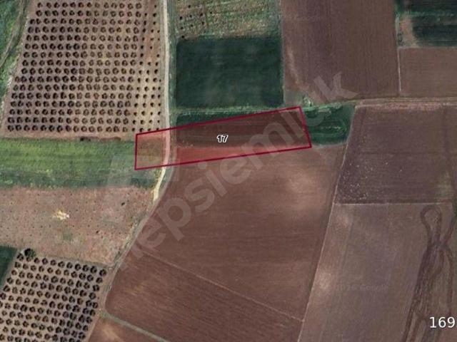 Kuşcenneti Mahallesi, Bandırma içerisinde satılık Arsa
