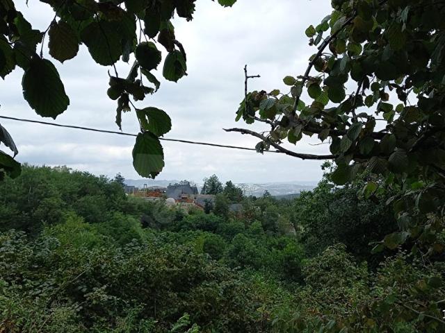Sapanca, Sakarya içerisinde satılık mülk