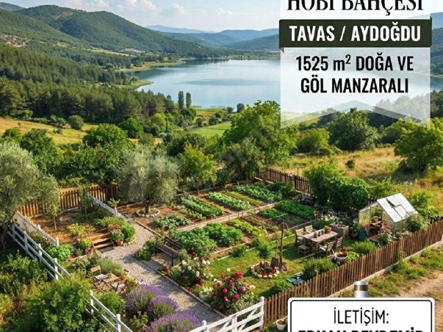 Aydoğdu, Tavas içerisinde satılık Arsa