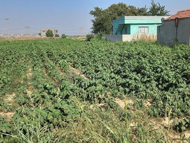 Bala, Ankara içerisinde satılık Arsa