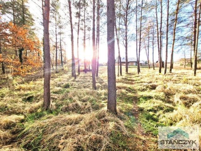 Grunt na sprzedaż w Golczewo, Zachodniopomorskie