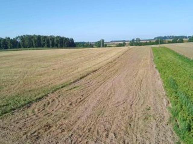 Grunt na sprzedaż w Golczewo, Zachodniopomorskie