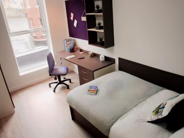 Room for rent in Upper Bangor, Bangor