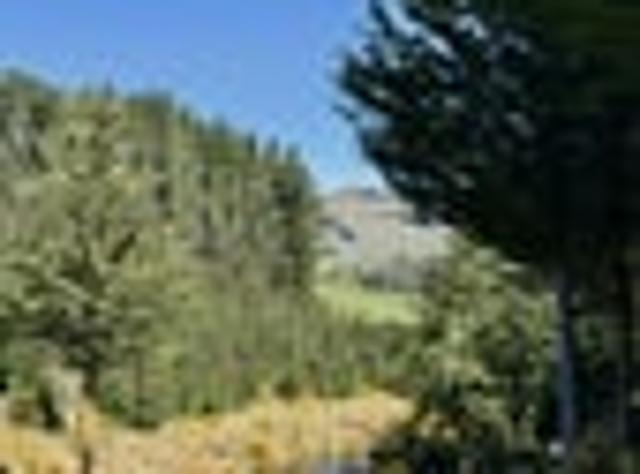 Land for sale in Palmerston, Waitaki District