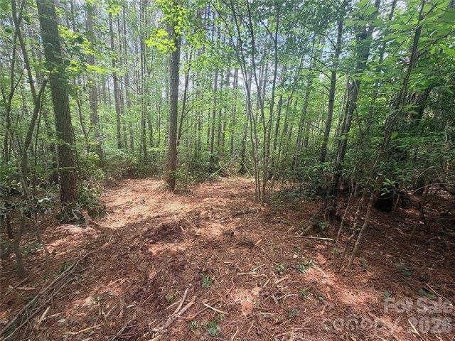 Land for sale in Rutherford, North Carolina