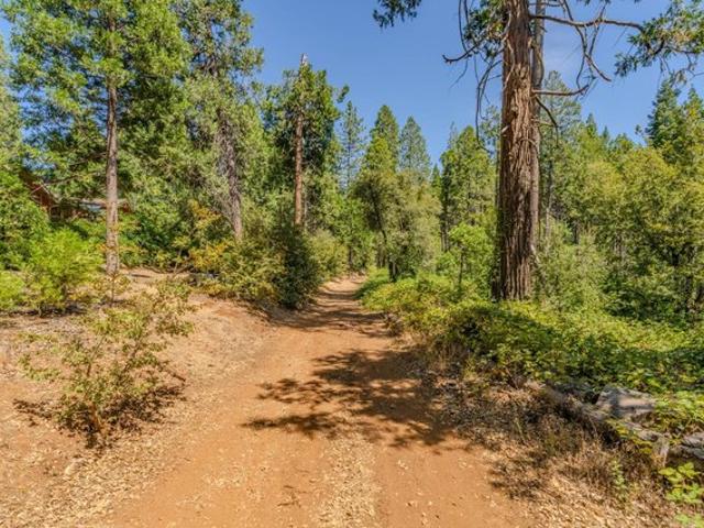 Land for sale in Pine Grove, California