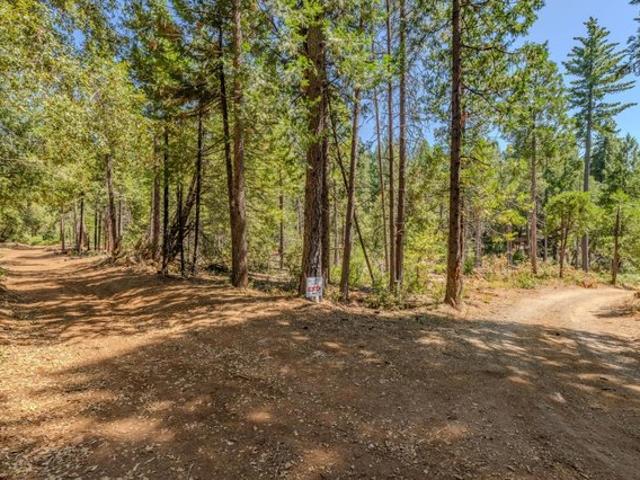 Land for sale in Pine Grove, California