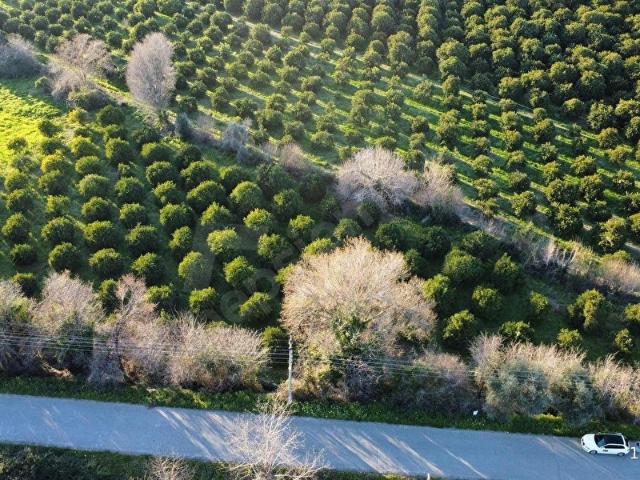 Köyceğiz, Muğla içerisinde satılık Arsa