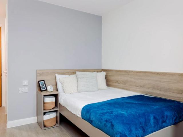 Room for rent in Lansdowne, Springbourne