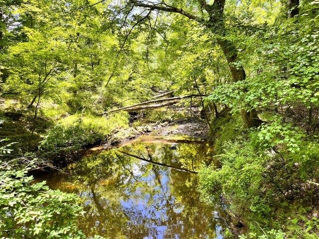 Land for sale in Edgefield, South Carolina