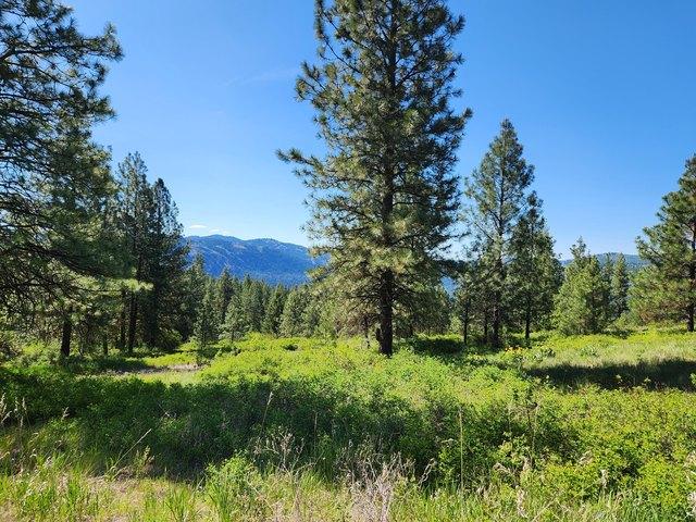 Land for sale in Republic, Washington