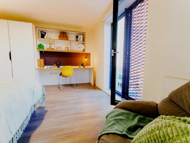 Studio for rent in Crockherbtown, Falcon Lodge