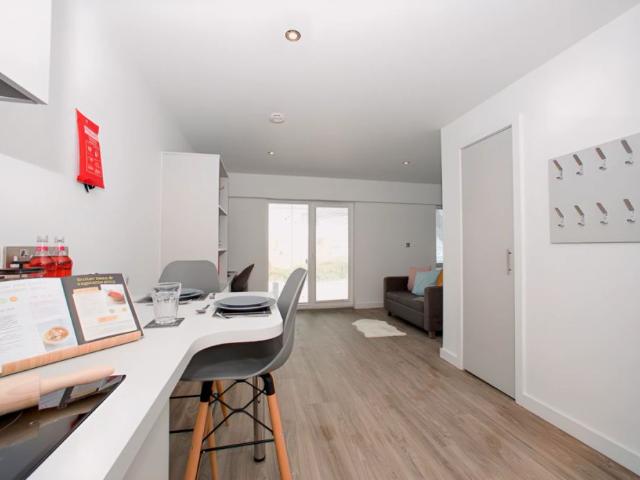 Studio for rent in The Meadows, Haddon