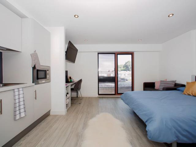Studio for rent in Newtown, Two Mills