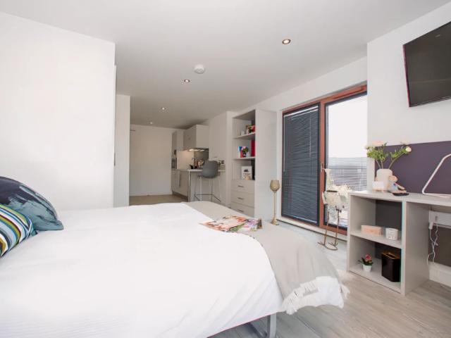Studio for rent in Newtown, Two Mills