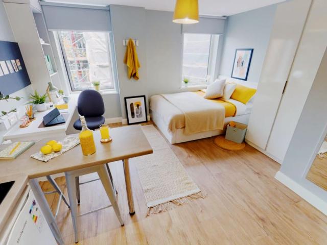 Studio for rent in High Field, York