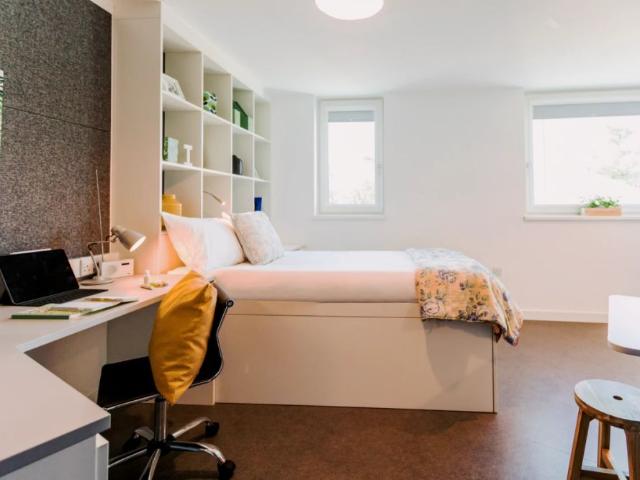Studio for rent in Hollingdean, Brighton