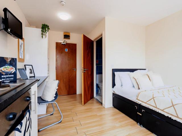 Studio for rent in The Meadows, Haddon