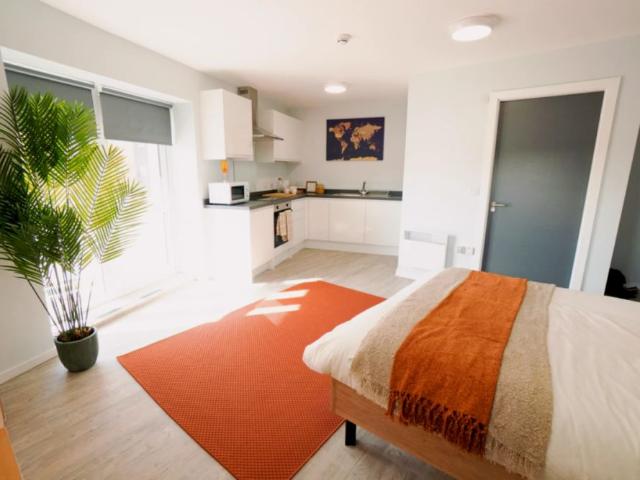 Studio for rent in Old Lenton, Haddon