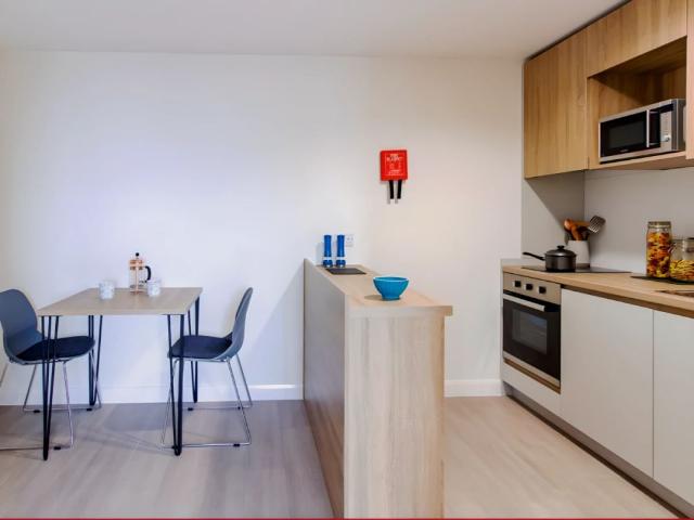 Studio for rent in Lansdowne, Springbourne