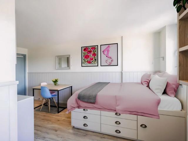 Studio for rent in Plasnewydd, Falcon Lodge