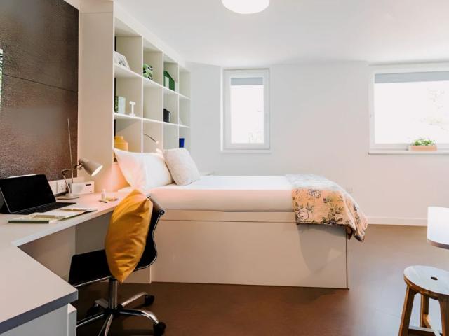 Studio for rent in Hollingdean, Brighton