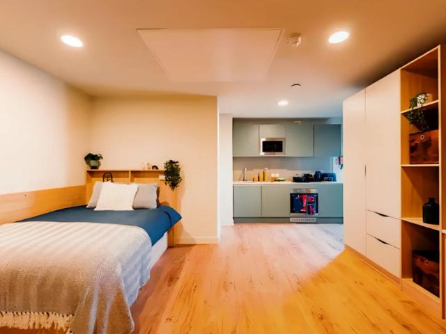 Studio for rent in The Meadows, Haddon