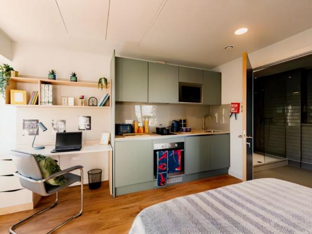 Studio for rent in The Meadows, Haddon