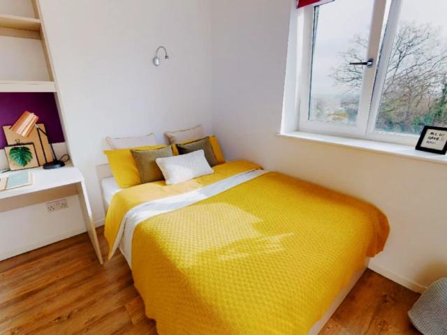 Studio for rent in Ripley Springs, Row Town