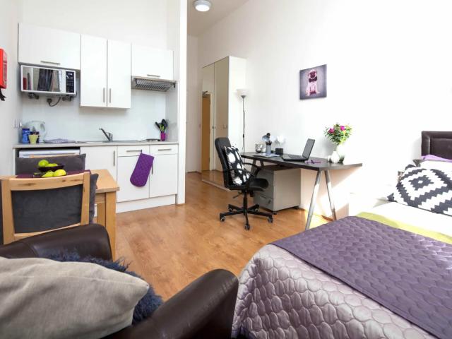Studio for rent in Finsbury Park, Greater London