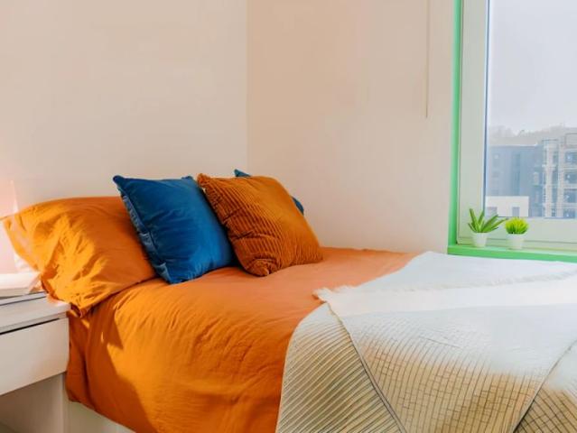 Room for rent in Hollingdean, Brighton & Hove