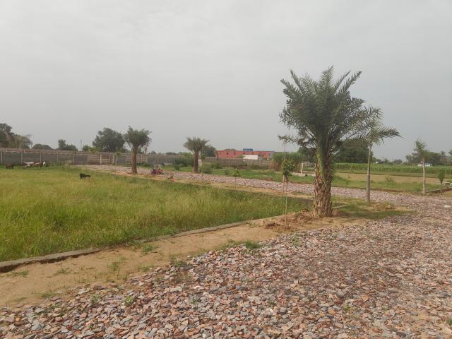 Land for sale in Aligarh, Arunachal Pradesh