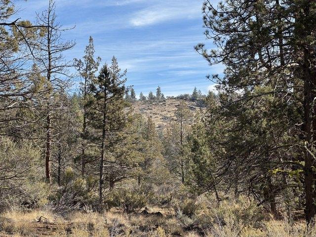 Land for sale in Oregonia