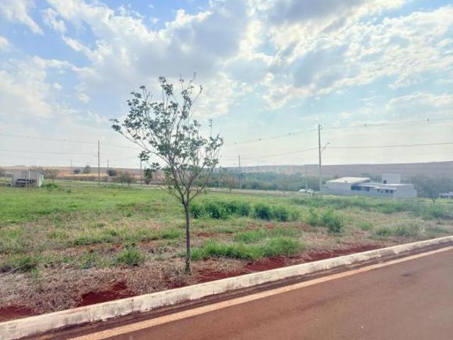 Terreno venda em Região Geográfica Imediata de Maringá, Floresta