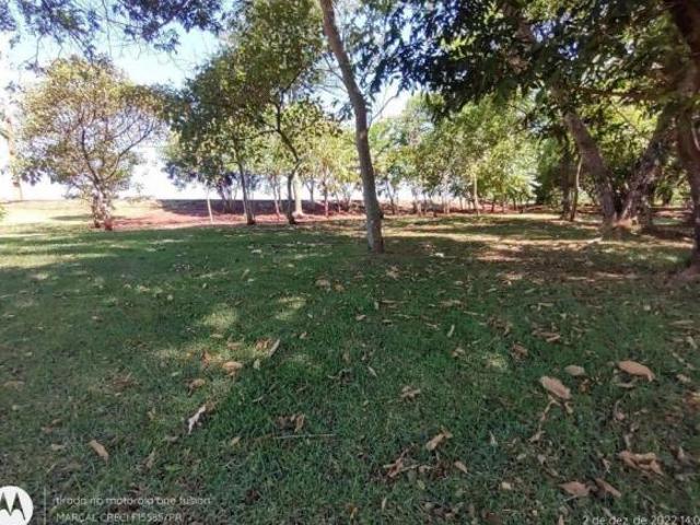 Terreno venda em Região Geográfica Imediata de Maringá, Floresta