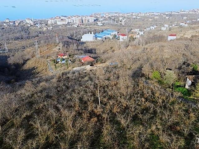 Arsin, Trabzon içerisinde satılık mülk