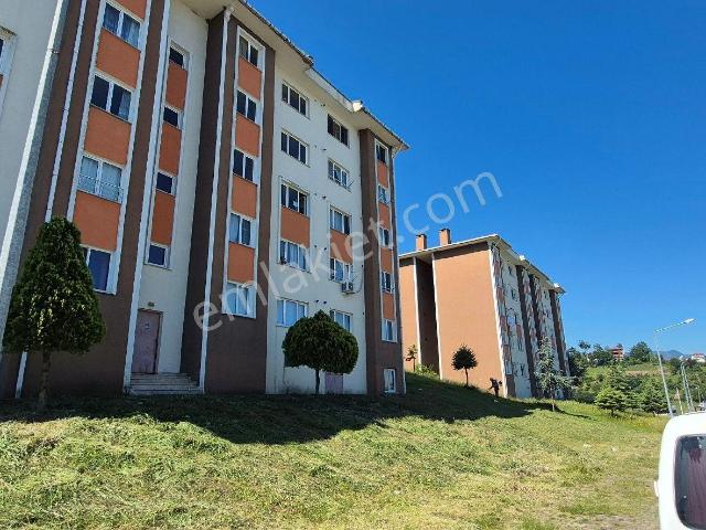 Akçaabat, Trabzon içerisinde kiralık mülk