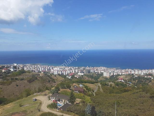 Akçaabat, Trabzon içerisinde satılık mülk